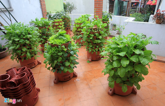 Dụng cụ trồng rau thông minh